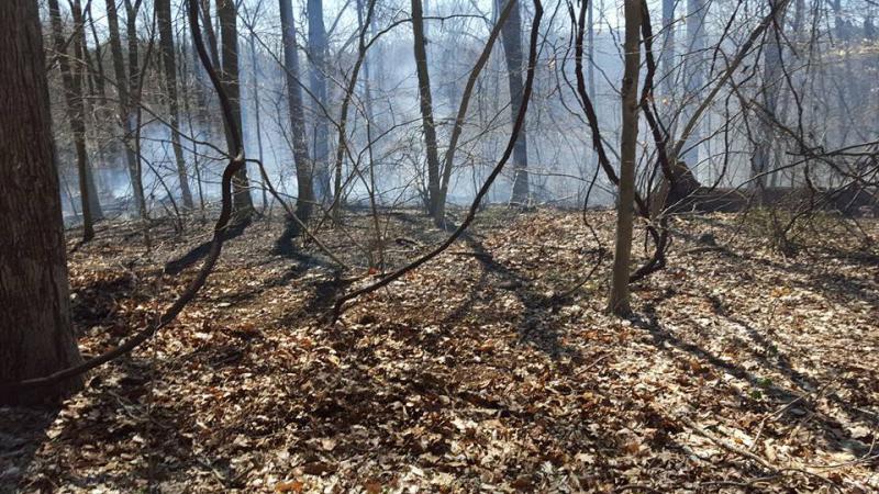 Brush Fire - Hibernia Park WC - 04/16
