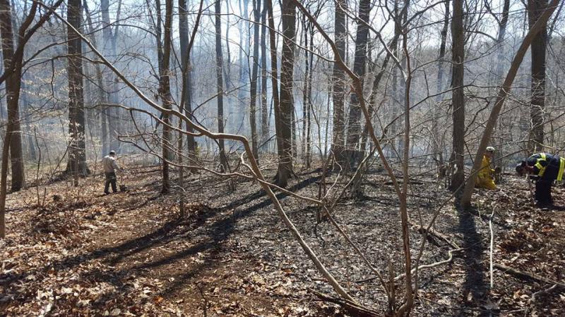 Brush Fire - Hibernia Park WC - 04/16
