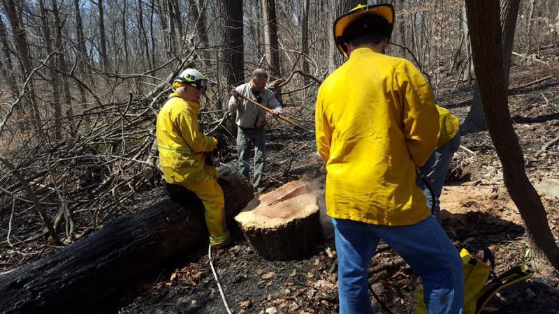 Brush Fire - Hibernia Park WC - 04/16
