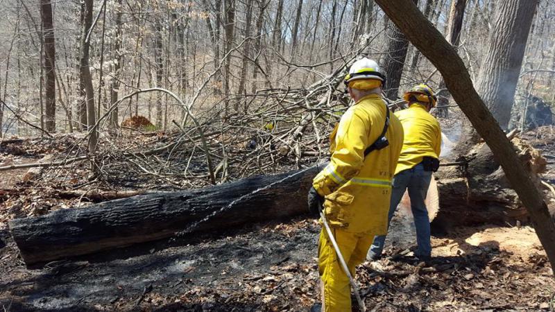 Brush Fire - Hibernia Park WC - 04/16
