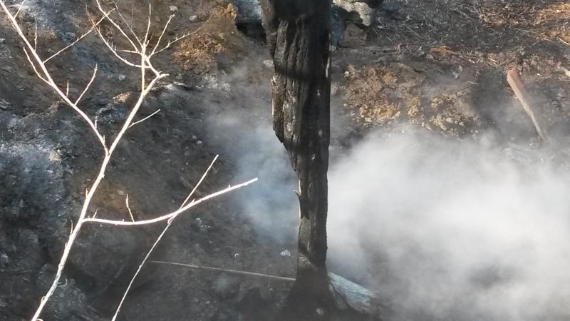 Brush Fire - Octorara Tr. - March 30 2015
