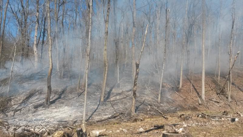 April 2015 - Telegraph Rd - Woods Fire
