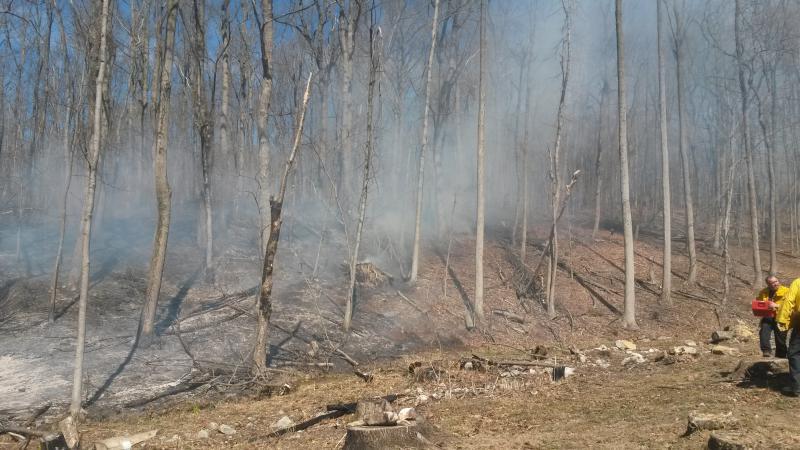 April 2015 - Telegraph Rd - Woods Fire
