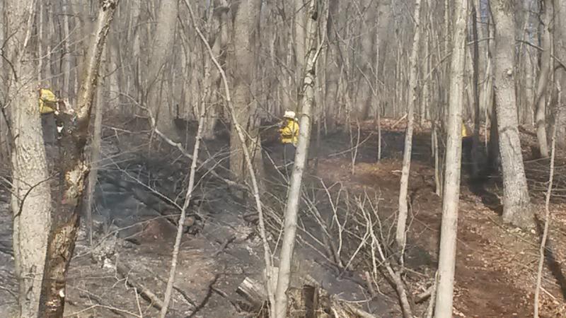 April 2015 - Telegraph Rd - Woods Fire
