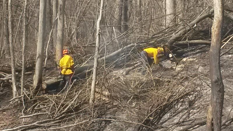 April 2015 - Telegraph Rd - Woods Fire
